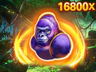 Kong game icon